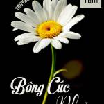 Nhung ở Quận 2, TP Hồ Chí Minh - Thích đc quan tâm