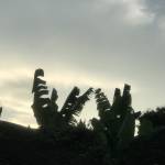 Wuys tìm nữ FwB trên mạng