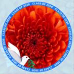 Hoàng Đô Profile Picture