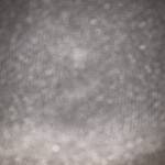 Nam Anh ở Tây Hồ, Hà Nội - vui