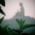 Trai Vung  ở Vũng Tàu, Bà Rịa - Vũng Tàu - Đơn giản. Tình cảm. Thích XXX