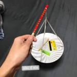 Thong ở Cam Ranh, Khánh Hòa - Hoà đồng vui vê