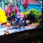 Hao ở Ba Tri, Bến Tre - Hãy vui ít NC cần bạn gái NC n