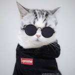 Anh ở Hai Bà Trưng, Hà Nội - Dễ tính , tìm FWB, ONS