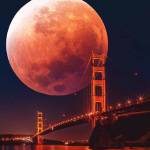 Việt ở Hải Châu, Đà Nẵng - Vui vẻ hoài đồng