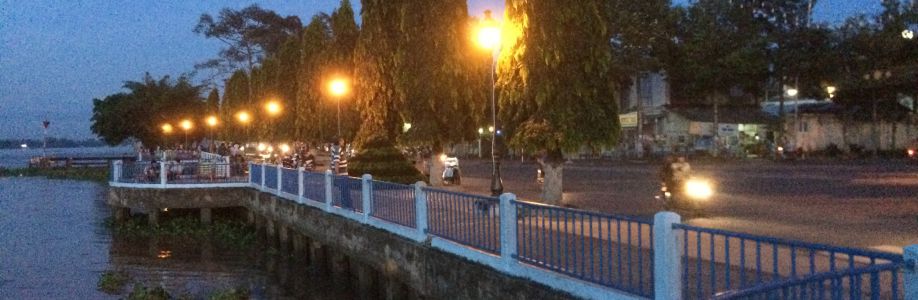 Tam Nguyenn Cover Image