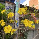 Trân ở Quận 10, TP Hồ Chí Minh - Mũm mĩm☺️☺️☺️