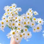 Linhling ở Rạch Giá, Kiên Giang - Găp sẽ biết