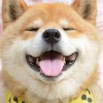 Văn ở Quận 9, TP Hồ Chí Minh - Tìm bạn nữ FWB lâu dài kín đáo