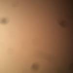 an khang Profile Picture