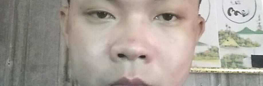 Phạm Ngọc Si Cover Image