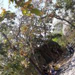 Tuấn ở Gò Vấp, TP Hồ Chí Minh - Trầm tính..nhẹ nhàng..