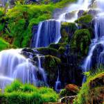 khuất đình ở Hai Bà Trưng, Hà Nội - ngại va chạm  <br>đã chạm là d