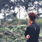 Tom ở Thanh Trì, Hà Nội - ...