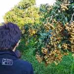 Nguyễn Minh Quân - tim ban trai da ly hon qua so dien thoai