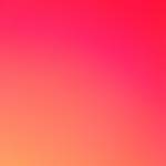 tim ban gay top bot Wind