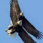 Hùng ở Vũng Tàu, Bà Rịa - Vũng Tàu - Chân thành và tình cảm