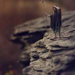 Tuân ở Bắc Ninh, Bắc Ninh - Thích vui vẻ