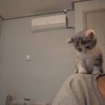 Nhật Nam ở Hồng Bàng, Hải Phòng - Tìn fwb