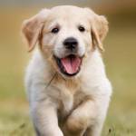 Tuan ở Ba Đình, Hà Nội - khoẻ, lâu ra, tìm fwb lành mạn