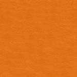 nam ở Hà Đông, Hà Nội - abcd