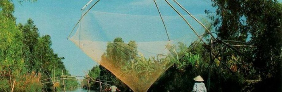 Thach Văn Cover Image