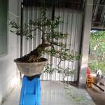 Nobita68 ở Phú Quốc, Kiên Giang - Ti