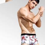 Anh Vũ ở Mỹ Đức, Hà Nội - Bình thường