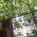 tim ban gay top bot Thuonggay