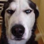 Kim Thanh ở Gò Vấp, TP Hồ Chí Minh - Chơi hip hop