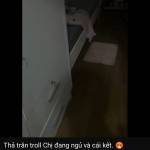 hùng ở Đức Linh, Bình Thuận - hiền lành... cái gì cũng biết 