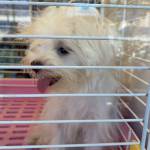 Sally ở Phan Thiết, Bình Thuận - Đơn giản bình thường