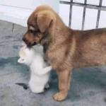 TRAIDAM2K2 ở Vĩnh Hưng, Long An - Độc thân