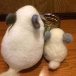 Nam ở Đà Lạt, Lâm Đồng - Hoa đồng