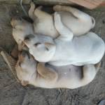 Huyku ở Quận 10, TP Hồ Chí Minh - Vui vẽ xx