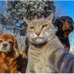 Duy ở Quận 10, TP Hồ Chí Minh - 0934138191 sẽ rõ hơn