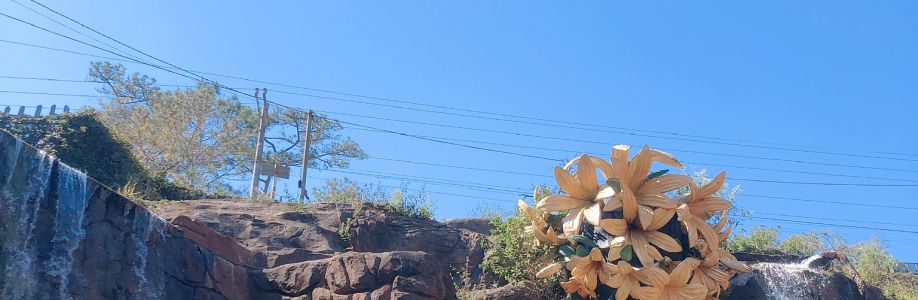 Ngô thanh tuấn Cover Image