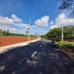 Bảo Nguyên Profile Picture