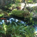 SiDa ở Sơn Trà, Đà Nẵng - Tìm người tâm sự