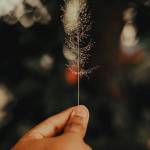 Ngô trí ở Từ Sơn, Bắc Ninh - Vui vẻ