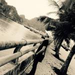 Hoàng Anh ở Tây Ninh, Tây Ninh - tâm lý tình cảm