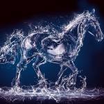 vu ở Bến Tre, Bến Tre - binh thuong gian di thẳng thắn