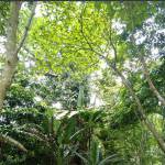 HienTrinh tim ban les fem qua so dien thoai