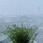 Abc ở Bình Thạnh, TP Hồ Chí Minh - Vui vẻ