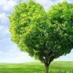 Lưu Ly - tìm bạn gái đã ly dị chồng