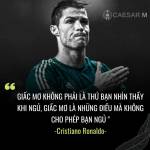 Bo ở Huế, Thừa Thiên Huế - Vui ve hoà đồng