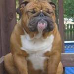 Nguyễn Duy ở Thủ Đức, TP Hồ Chí Minh - Tìm fwb , ons