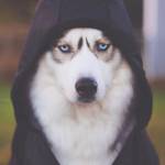 anony ở Đống Đa, Hà Nội - là người lịch sự, hiểu chuyện,