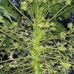 Lại ở Đống Đa, Hà Nội - Vui vẻ hoà đồng