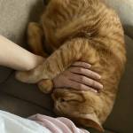 Lê Ngọc Bích tim ban les fem qua so dien thoai